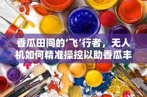 香瓜田间的‘飞’行者，无人机如何精准操控以助香瓜丰收？