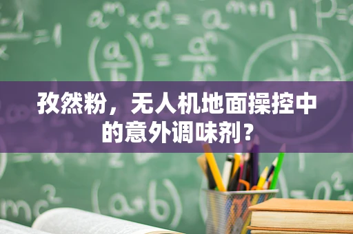 孜然粉，无人机地面操控中的意外调味剂？