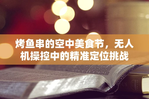 烤鱼串的空中美食节，无人机操控中的精准定位挑战