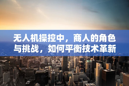 无人机操控中，商人的角色与挑战，如何平衡技术革新与商业利益？