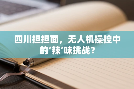 四川担担面，无人机操控中的‘辣’味挑战？