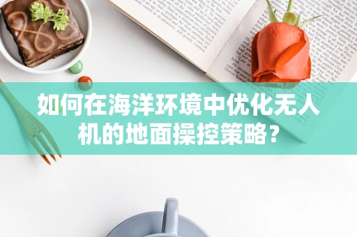 如何在海洋环境中优化无人机的地面操控策略？