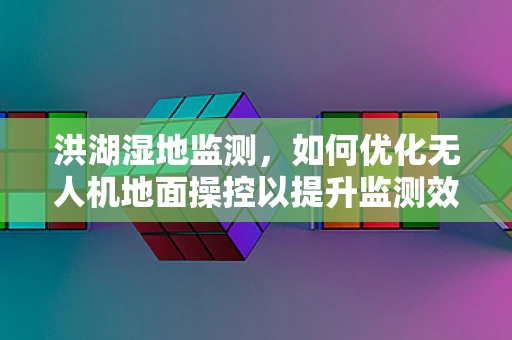 洪湖湿地监测，如何优化无人机地面操控以提升监测效率？