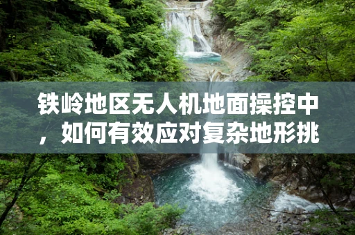 铁岭地区无人机地面操控中，如何有效应对复杂地形挑战？