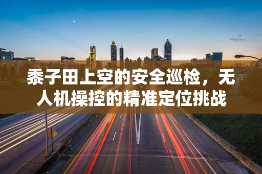 黍子田上空的安全巡检，无人机操控的精准定位挑战