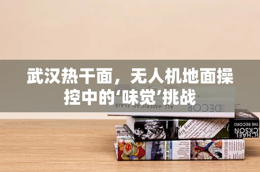 武汉热干面，无人机地面操控中的‘味觉’挑战