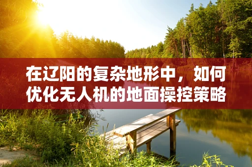 在辽阳的复杂地形中，如何优化无人机的地面操控策略？