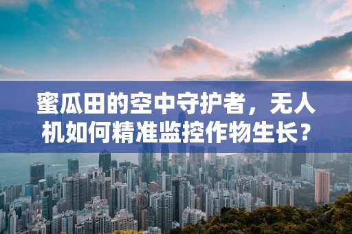 蜜瓜田的空中守护者，无人机如何精准监控作物生长？