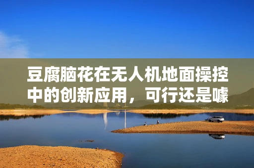 豆腐脑花在无人机地面操控中的创新应用，可行还是噱头？