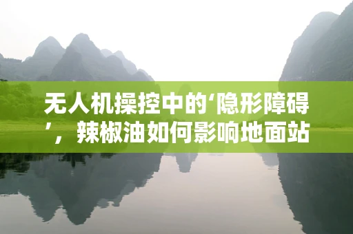 无人机操控中的‘隐形障碍’，辣椒油如何影响地面站操作？
