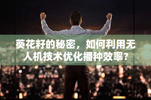 葵花籽的秘密，如何利用无人机技术优化播种效率？