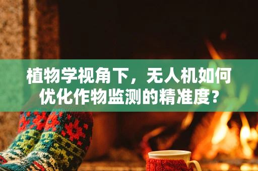 植物学视角下，无人机如何优化作物监测的精准度？