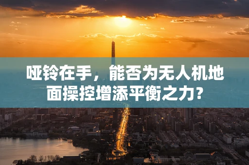 哑铃在手，能否为无人机地面操控增添平衡之力？