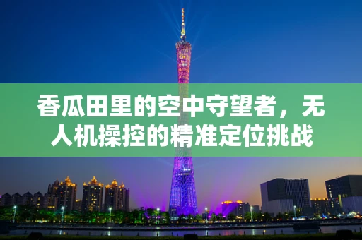 香瓜田里的空中守望者，无人机操控的精准定位挑战