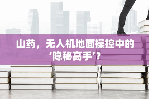 山药，无人机地面操控中的‘隐秘高手’？