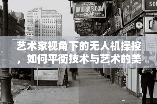 艺术家视角下的无人机操控，如何平衡技术与艺术的美感？