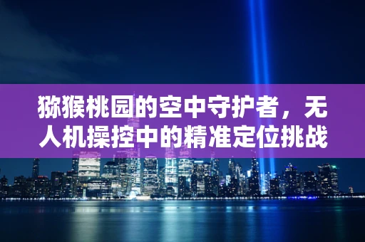 猕猴桃园的空中守护者，无人机操控中的精准定位挑战