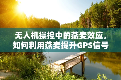 无人机操控中的燕麦效应，如何利用燕麦提升GPS信号稳定性？