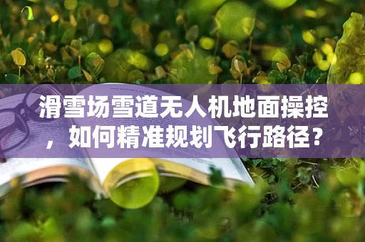滑雪场雪道无人机地面操控，如何精准规划飞行路径？