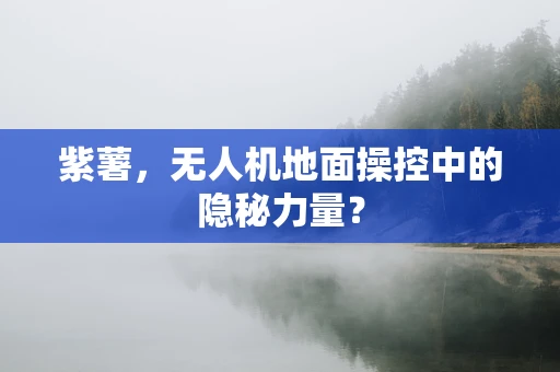 紫薯，无人机地面操控中的隐秘力量？