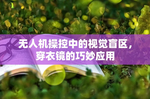 无人机操控中的视觉盲区，穿衣镜的巧妙应用