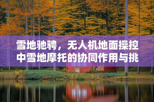 雪地驰骋，无人机地面操控中雪地摩托的协同作用与挑战