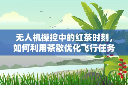 无人机操控中的红茶时刻，如何利用茶歇优化飞行任务规划？