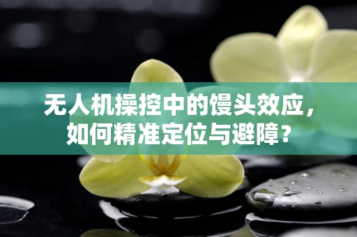 无人机操控中的馒头效应，如何精准定位与避障？