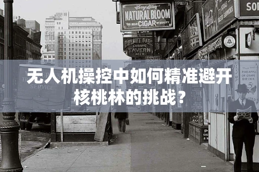 无人机操控中如何精准避开核桃林的挑战？