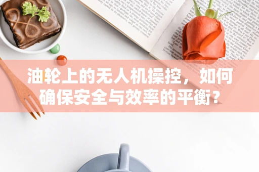 油轮上的无人机操控，如何确保安全与效率的平衡？