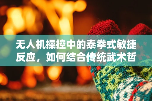无人机操控中的泰拳式敏捷反应，如何结合传统武术哲学提升操控精准度？