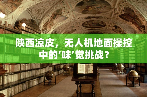 陕西凉皮，无人机地面操控中的‘味’觉挑战？