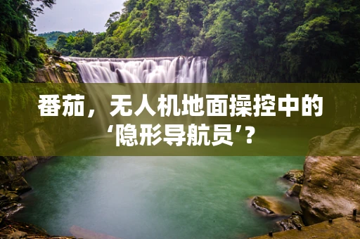 番茄，无人机地面操控中的‘隐形导航员’？