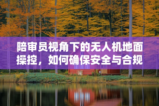 陪审员视角下的无人机地面操控，如何确保安全与合规？