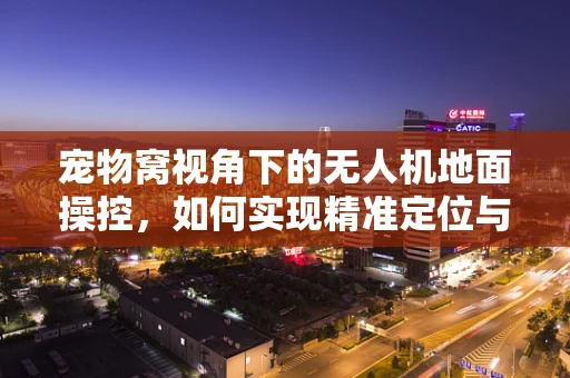 宠物窝视角下的无人机地面操控，如何实现精准定位与安全避障？
