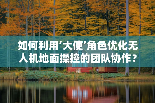 如何利用‘大使’角色优化无人机地面操控的团队协作？