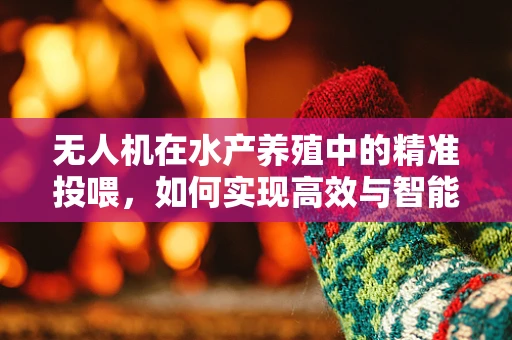 无人机在水产养殖中的精准投喂，如何实现高效与智能？