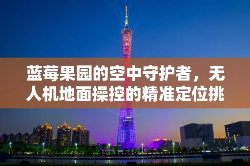 蓝莓果园的空中守护者，无人机地面操控的精准定位挑战