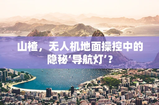 山楂，无人机地面操控中的隐秘‘导航灯’？