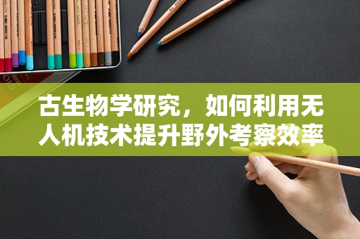 古生物学研究，如何利用无人机技术提升野外考察效率？