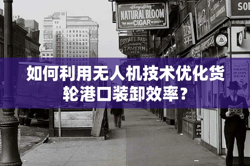 如何利用无人机技术优化货轮港口装卸效率？