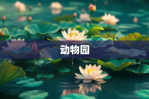 动物园