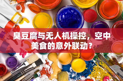 臭豆腐与无人机操控，空中美食的意外联动？