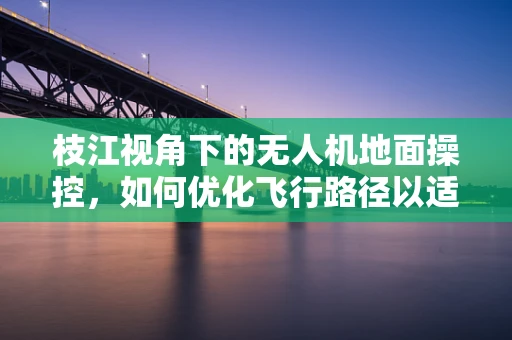 枝江视角下的无人机地面操控，如何优化飞行路径以适应复杂地形？