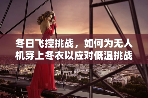 冬日飞控挑战，如何为无人机穿上冬衣以应对低温挑战？