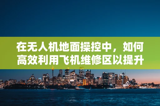 在无人机地面操控中，如何高效利用飞机维修区以提升维护效率？