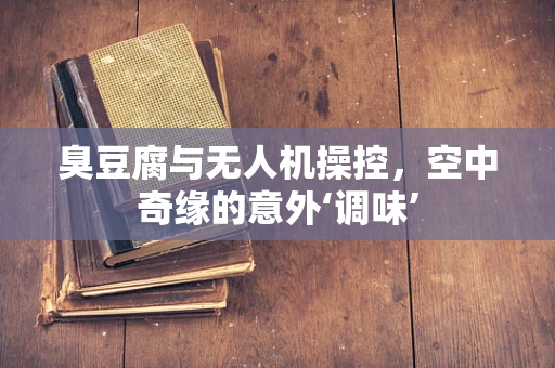 臭豆腐与无人机操控，空中奇缘的意外‘调味’