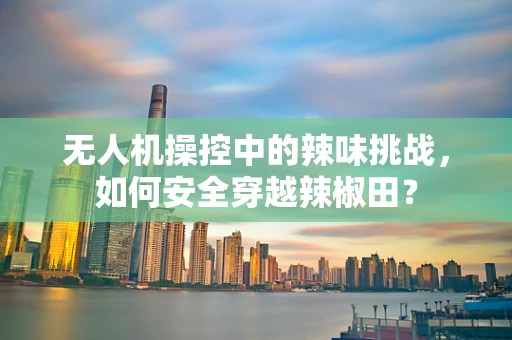 无人机操控中的辣味挑战，如何安全穿越辣椒田？
