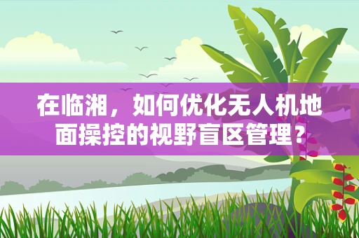 在临湘，如何优化无人机地面操控的视野盲区管理？
