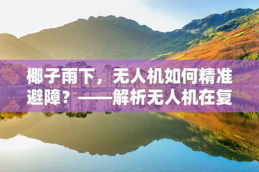 椰子雨下，无人机如何精准避障？——解析无人机在复杂环境中的操控挑战